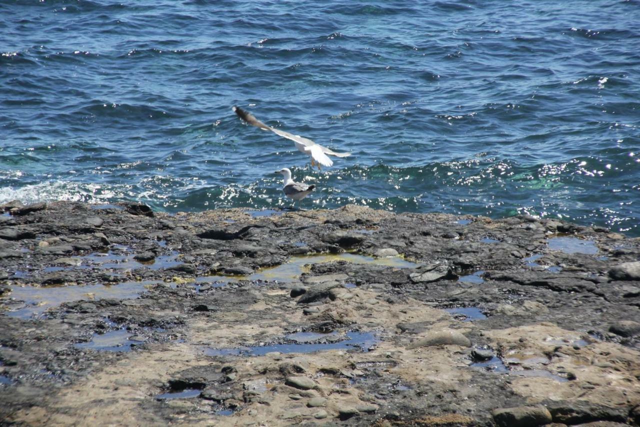 Seagull Estudios Pozo Izquierdo Eksteriør billede